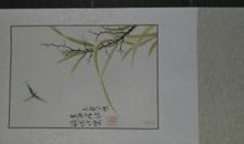 小鸟公主之被宠坏的公主读后感