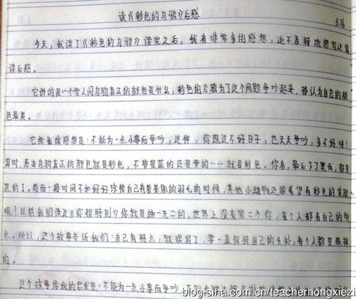 看完乌鸦的巢