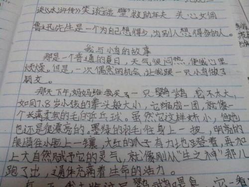 安全意识构成