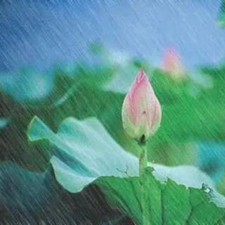 昆明读雨后