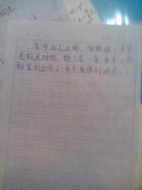 第二天日记