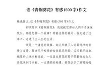 青铜葵花读后感350字