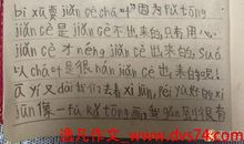 我爱小树的作文