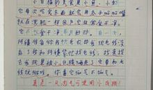我的小动物小学生作文