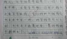 我的物理老师作文