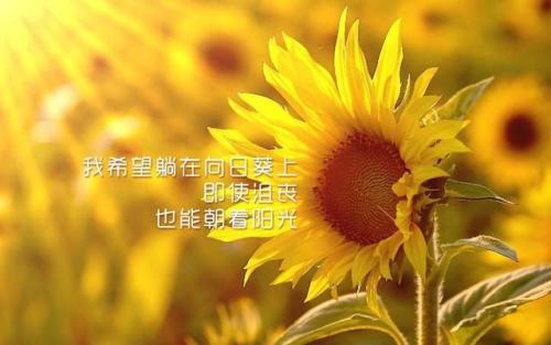 即使