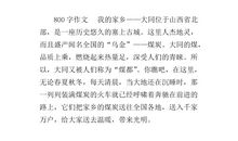 我爱家乡作文50字