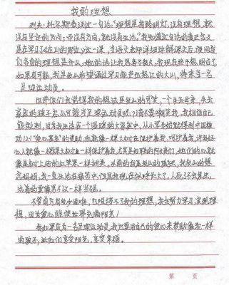 梦作文600字