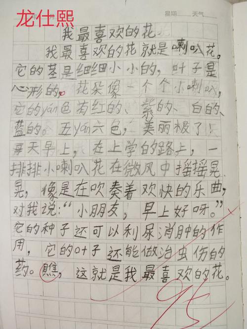 我喜欢500个字符的作品