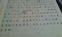 爱就在我身边作文