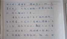 我爱家乡作文250字