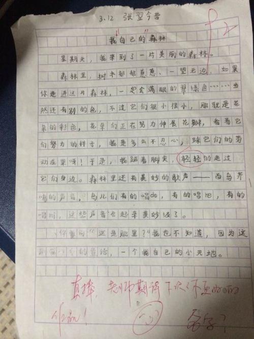 我最喜欢的课程作文