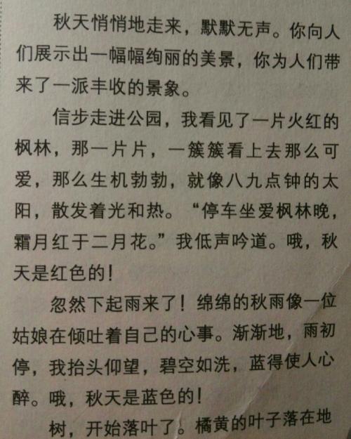我那时候的高中作文