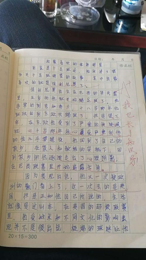 我最喜欢的体育明星构图
