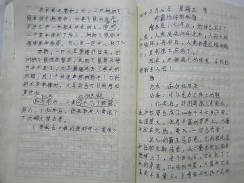 我生日作文300字