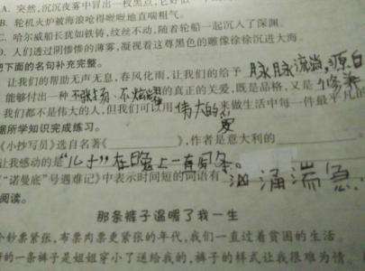 抄写员缩写