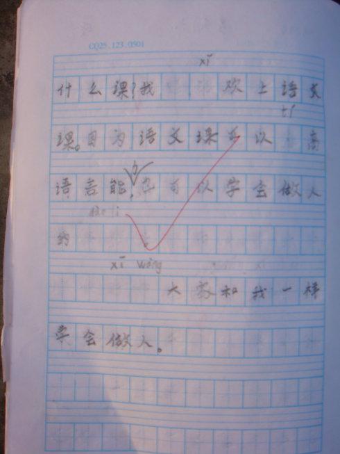 二年级小学生日记