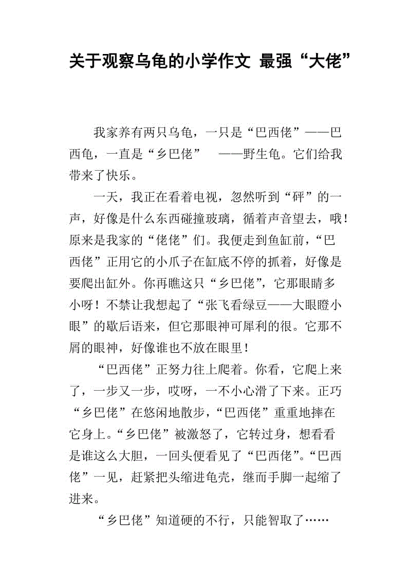 有趣的发现组成200字