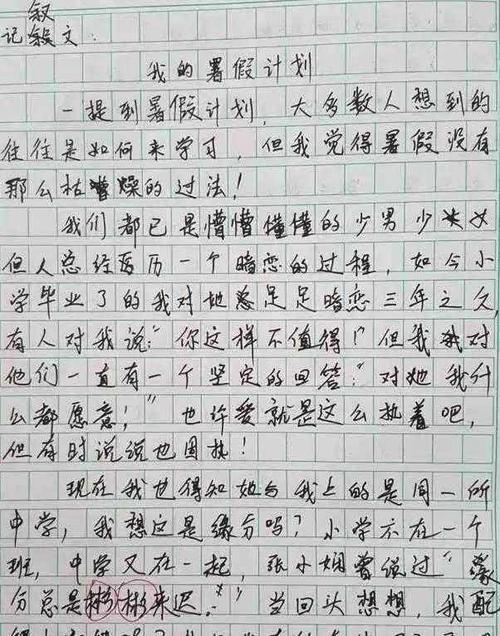 我的暑假计划组成