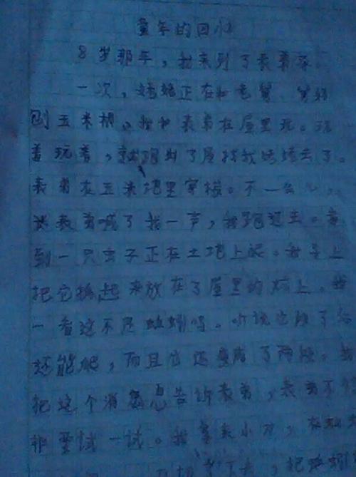 初中日记300字