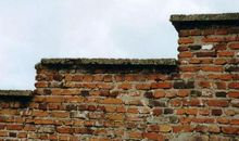 一声鸟或一堵墙