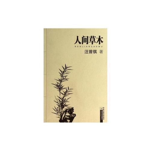 看完人间世界
