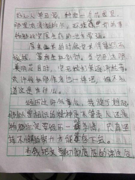 给我姐姐300个单词