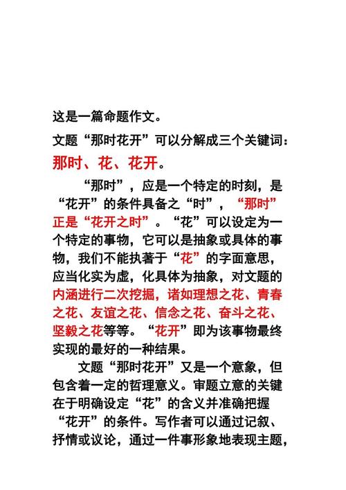 那时华华在高中作文中绽放