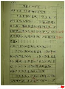 观察日记300字
