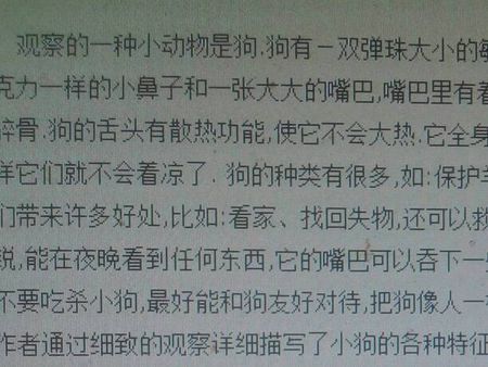 观察日记动物