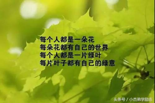 看生活