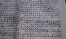我的梦想作文500字