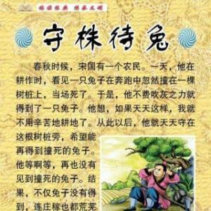 等待兔子阅读