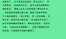 我爱大自然作文300字