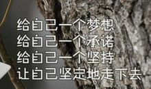 青春的呼唤
