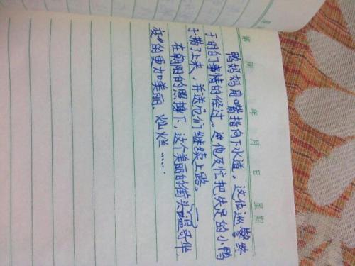 六年级日记