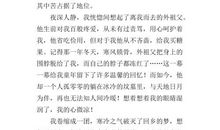 这个冬天不太冷作文