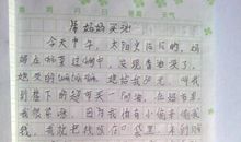 我的暑假作文100字