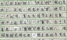 一件有趣的事作文600字