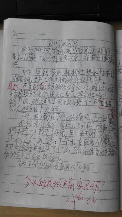二年级日记
