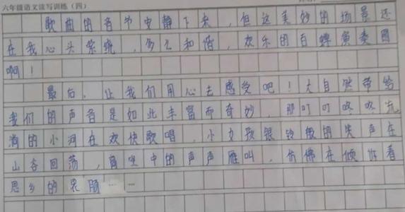 进入音响世界六年级作文