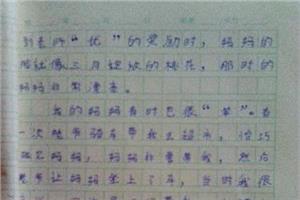 熟人组成400字