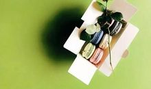 我拿你当亲人读后感