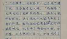 关于写动物的作文