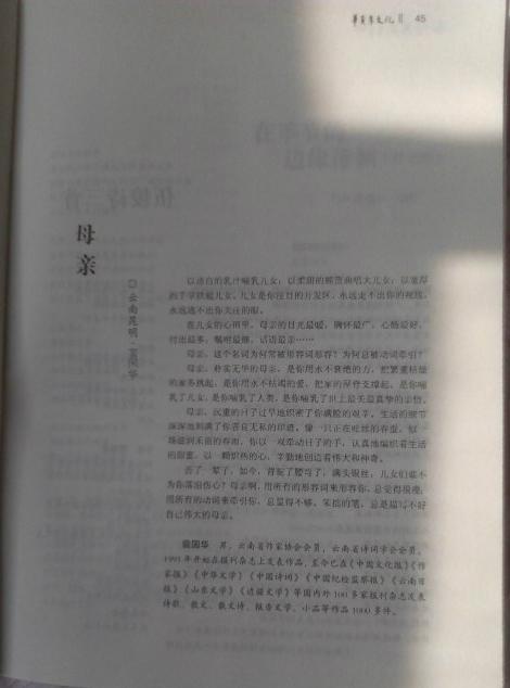 母爱是一缕阳光