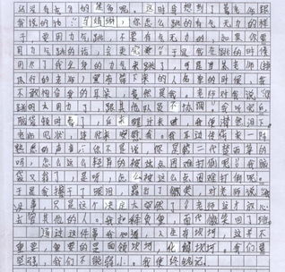 我记得那个时候的作文