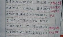走进网络作文