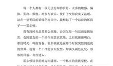 麦田里的守望者感想