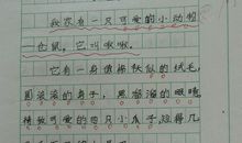 观察蜗牛作文300字