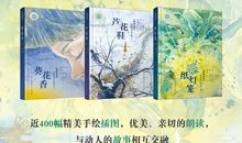 青铜葵花芦花鞋读后感